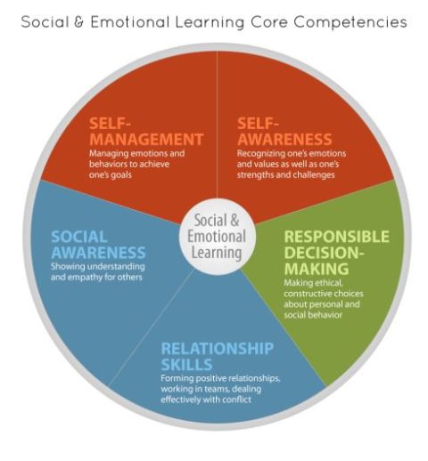 GOE Social Emotional Learning (SEL) - Girls of Excellence